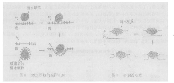 圖6、7.JPG